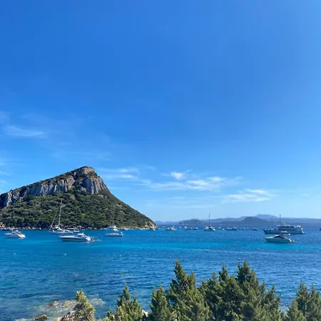 Casa Sacuri 3*
