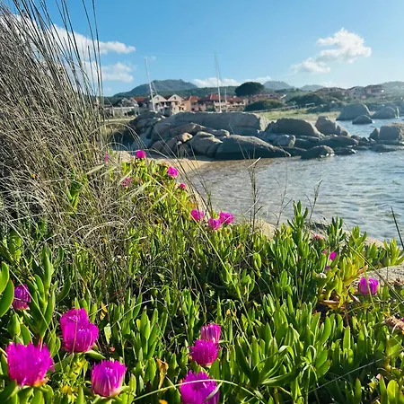Casa Sacuri Guest house